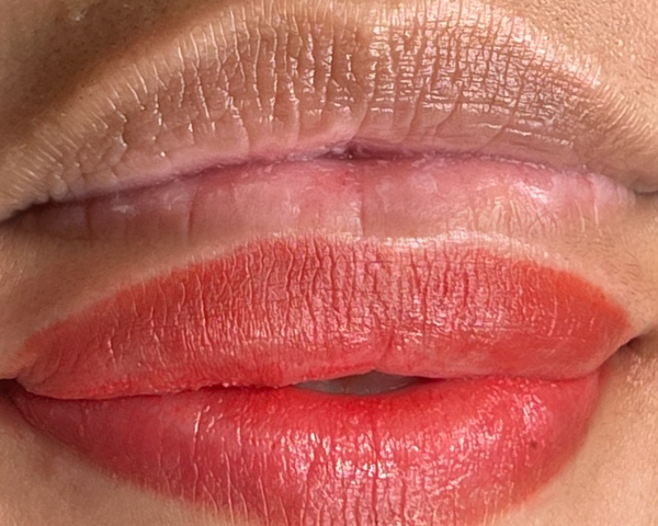 Nano brows before and after