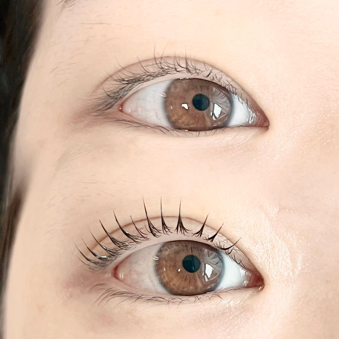 K-Beauty Lash Lift with Master Dan Kim from South Korea