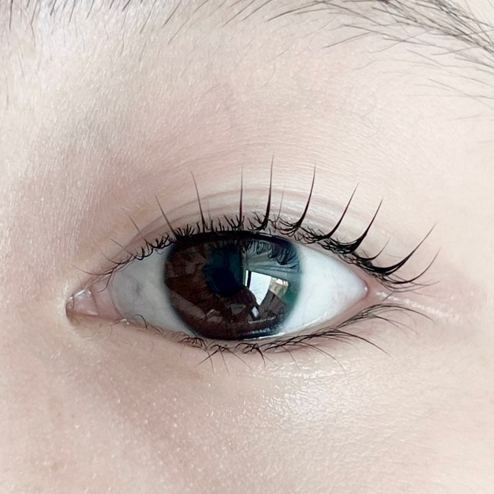 K-Beauty Lash Lift with Master Dan Kim from South Korea