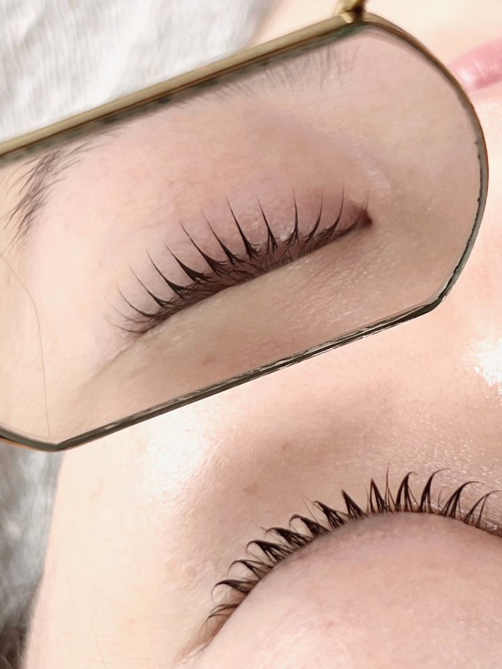 K-Beauty Lash Lift with Master Dan Kim from South Korea