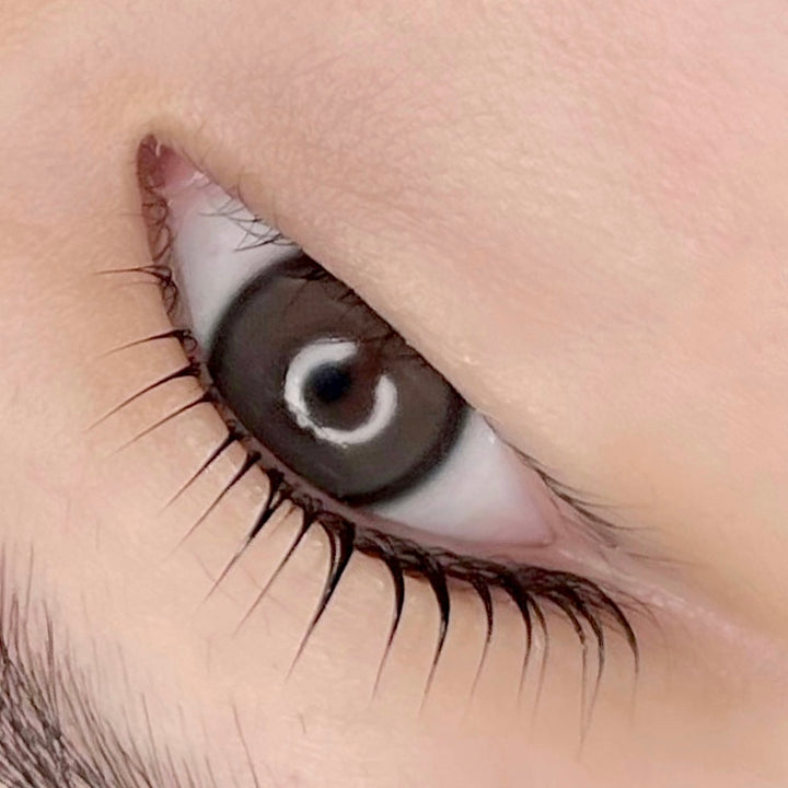 K-Beauty Lash Lift with Master Dan Kim from South Korea