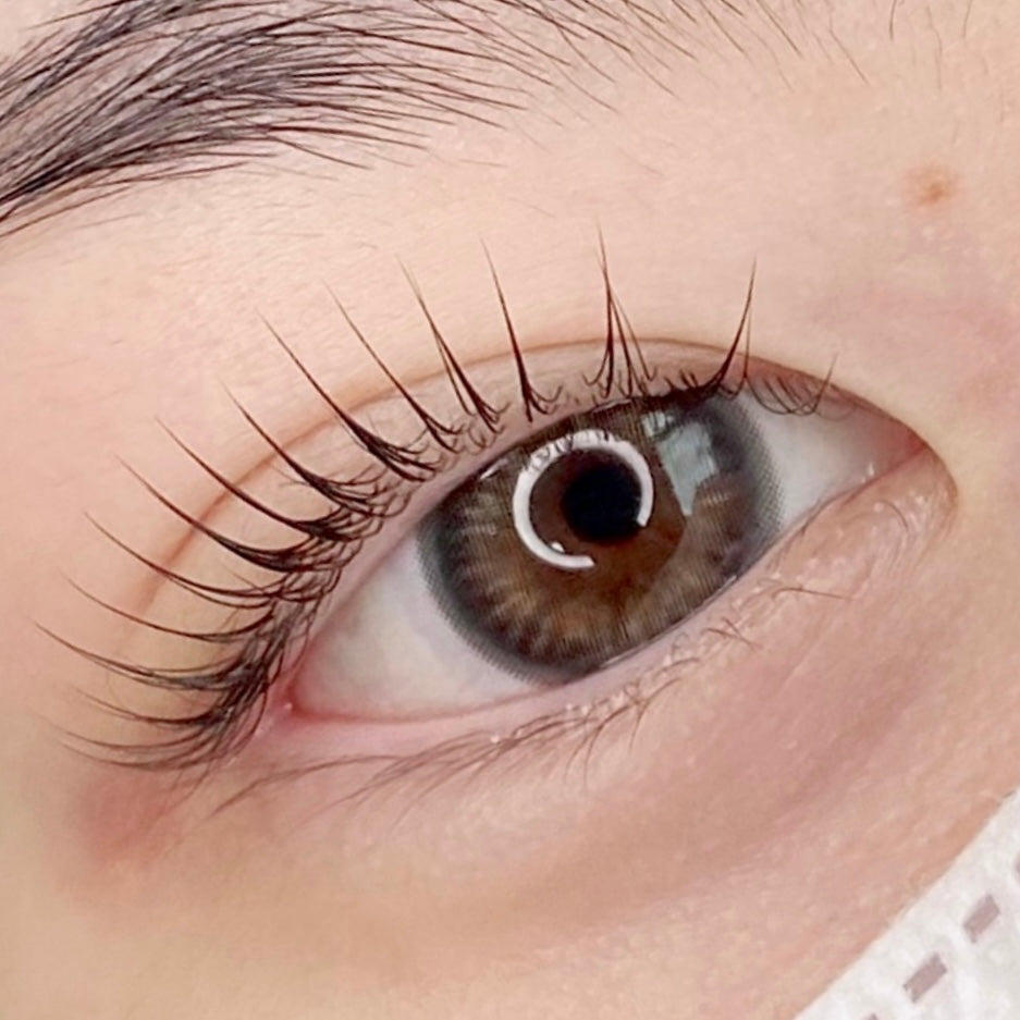 K-Beauty Lash Lift with Master Dan Kim from South Korea