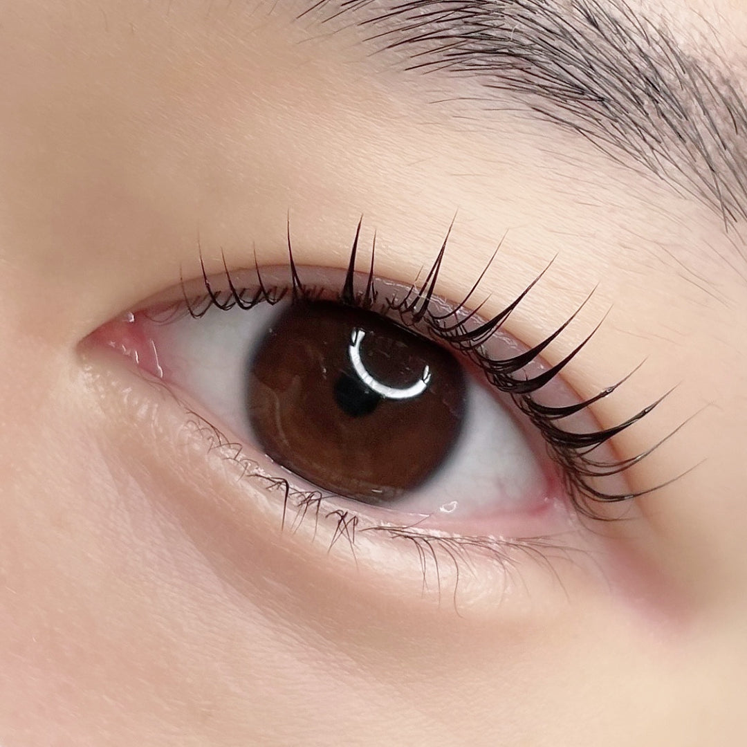 K-Beauty Lash Lift with Master Dan Kim from South Korea